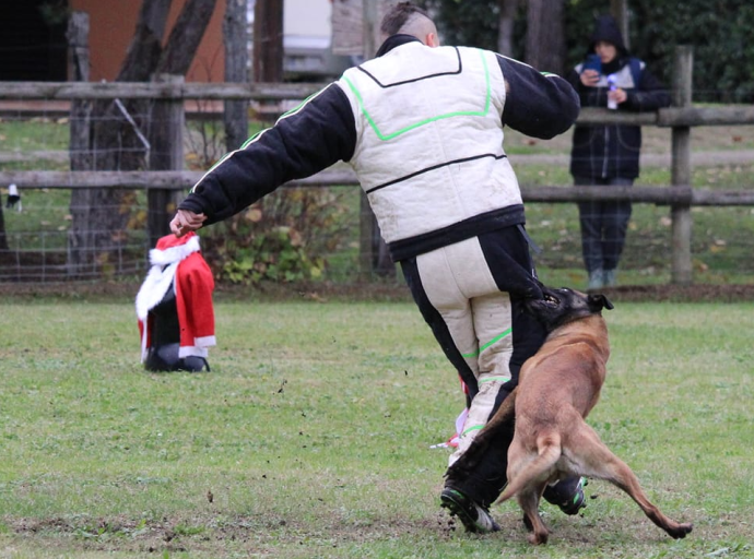 Classi di selezione