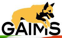 Gaims